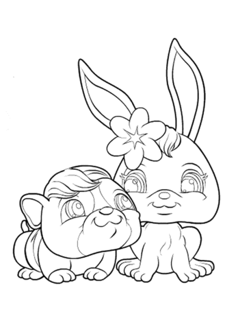 Pet Shop Animals  Coloring Page